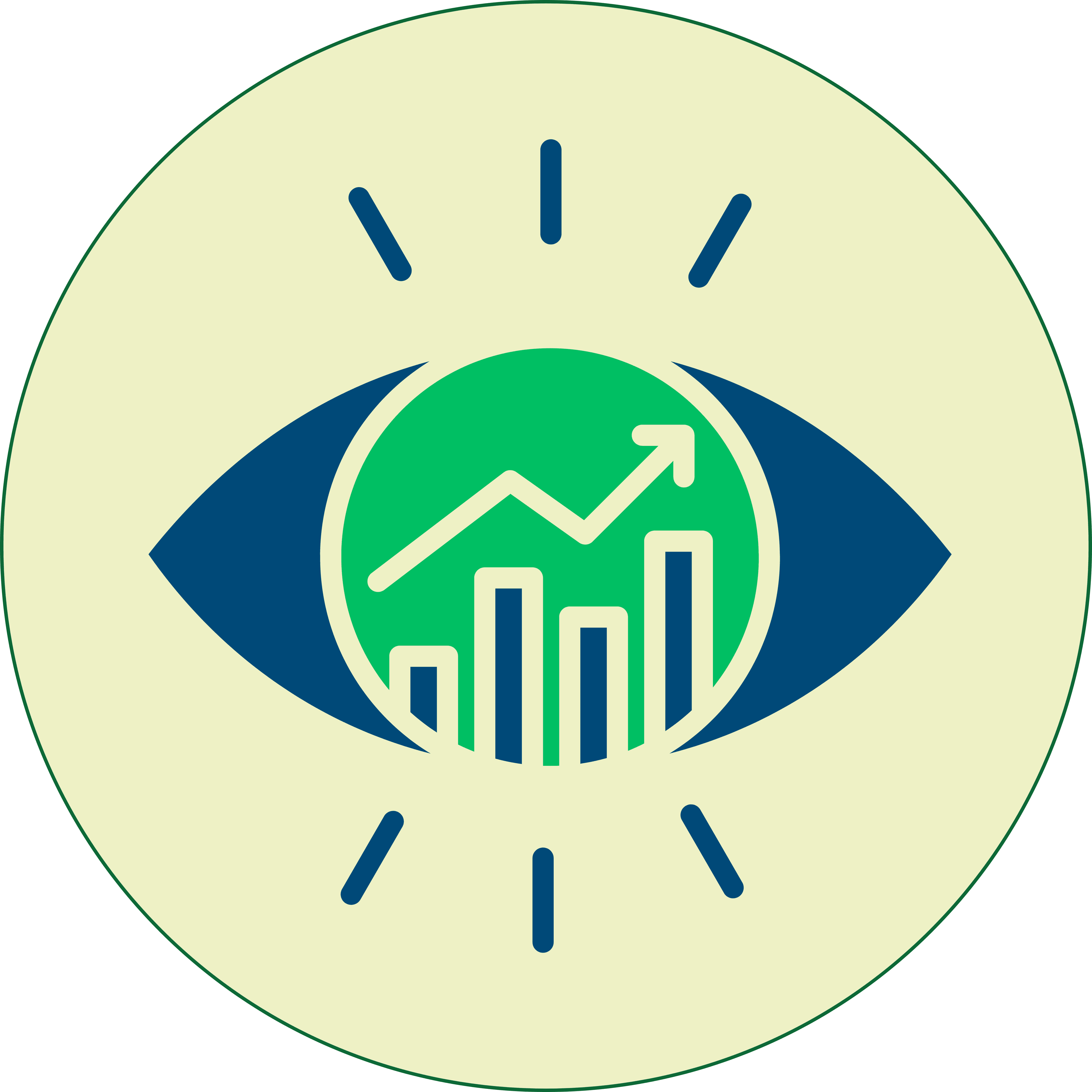 Our Vision